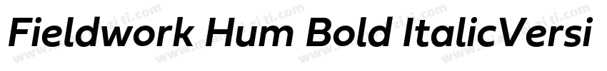 Fieldwork Hum Bold ItalicVersion 1字体转换
